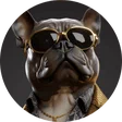 toto_riva