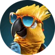 toto_bari